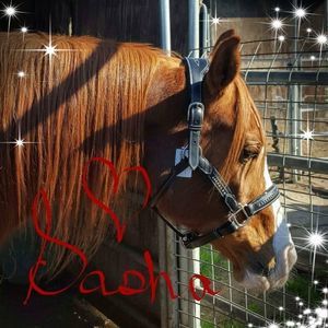 Meet your Posher, Darlene